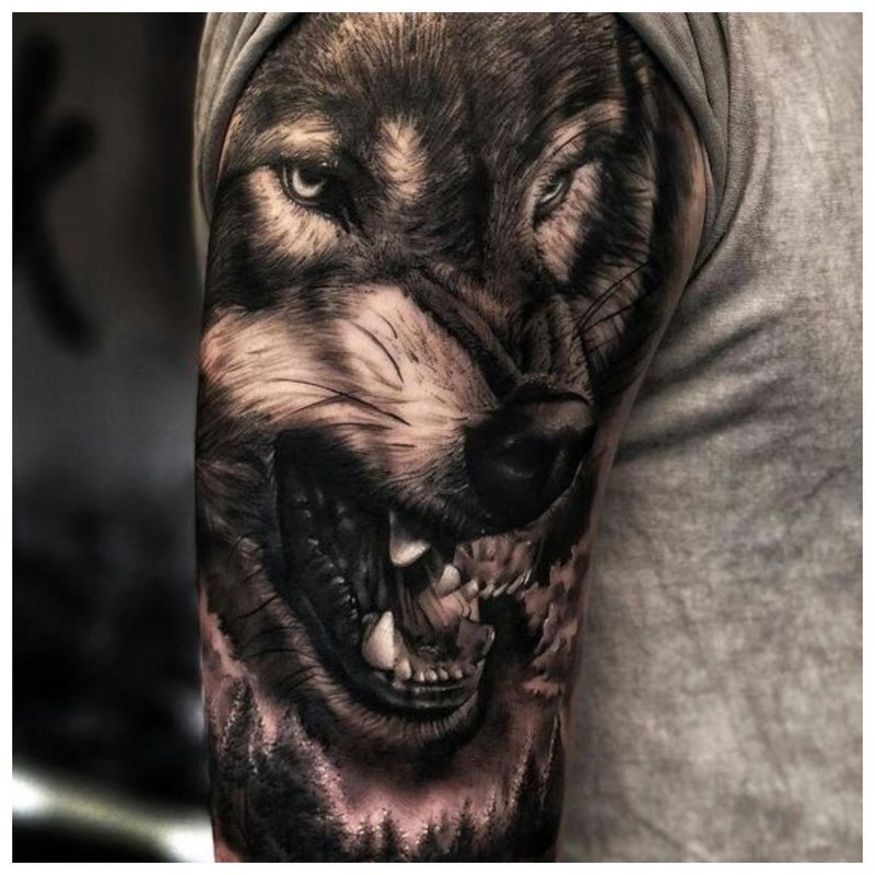 Agresyvus vilkas - vyro tatuiruotė
