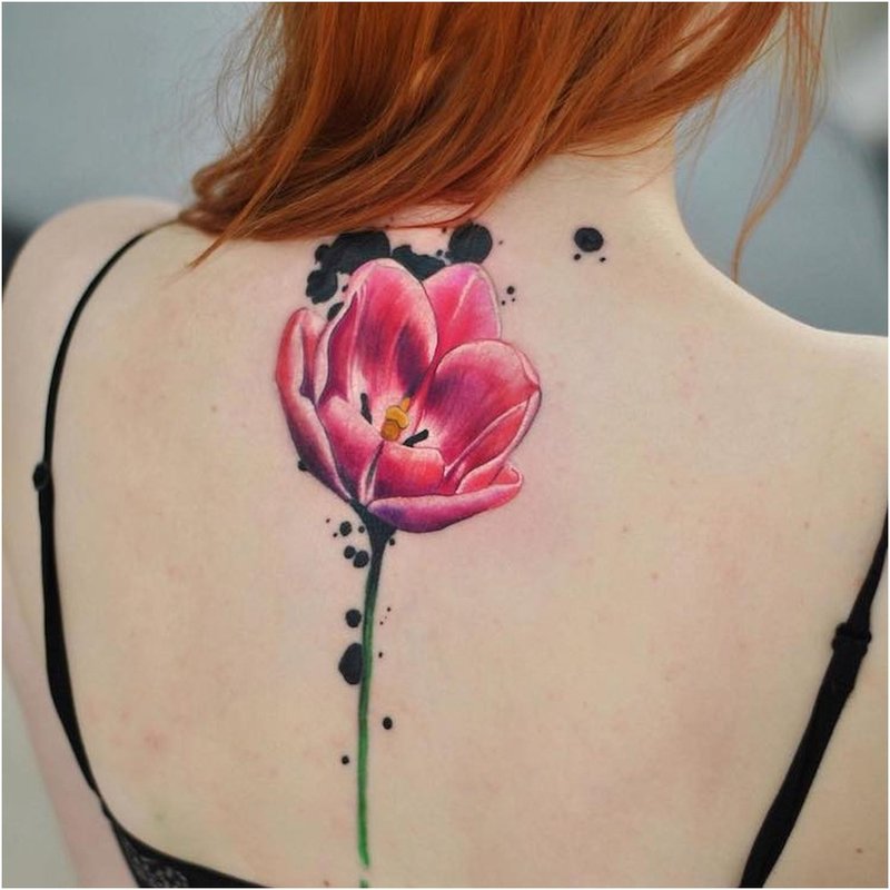 Lys akvarell tulipan på baksiden
