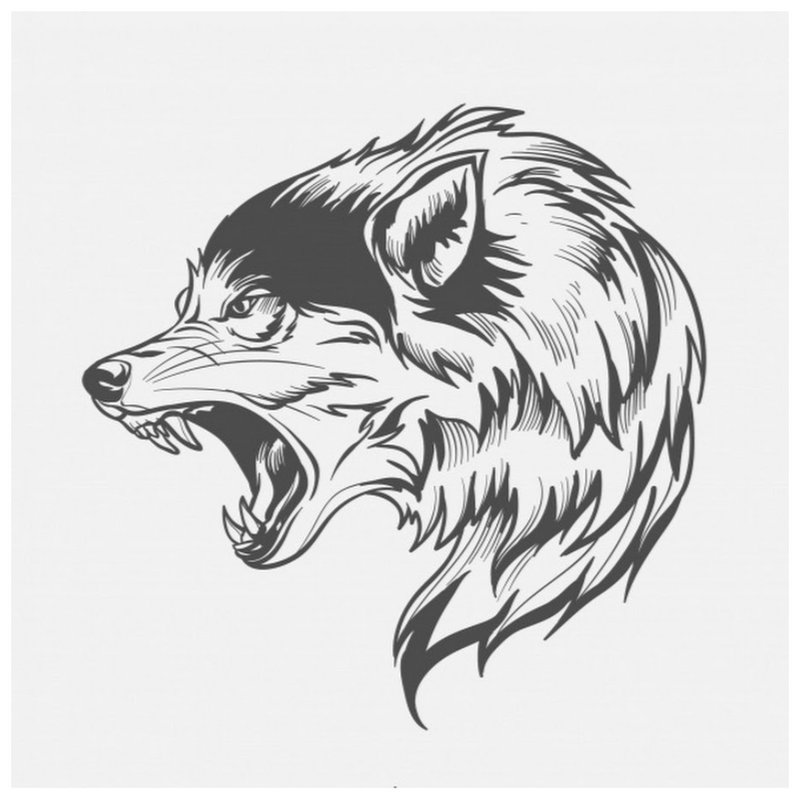 Vlk - skica pro tetování
