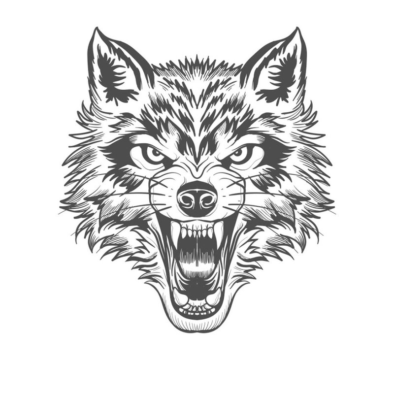 الذئب الغاضب - رسم للوشم