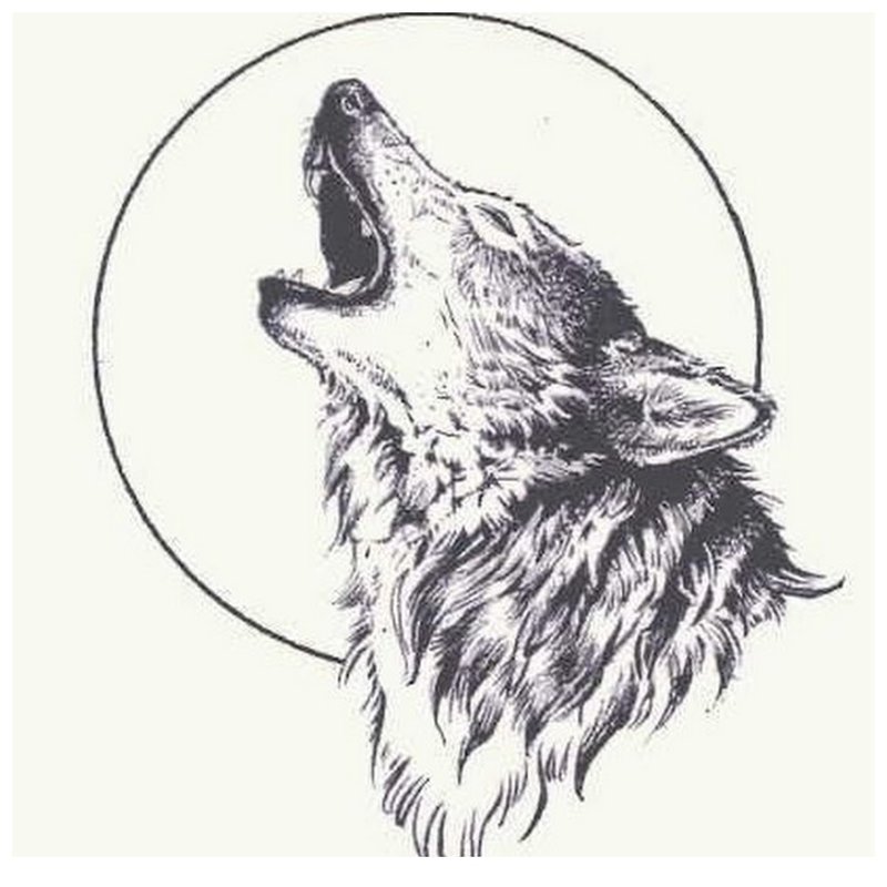 Vlk vytie na mesiac - skica na tetovanie