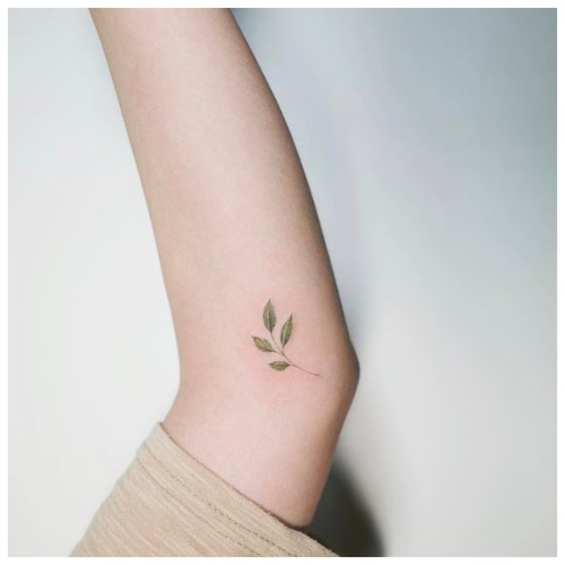 Floare - schiță pentru tatuaj