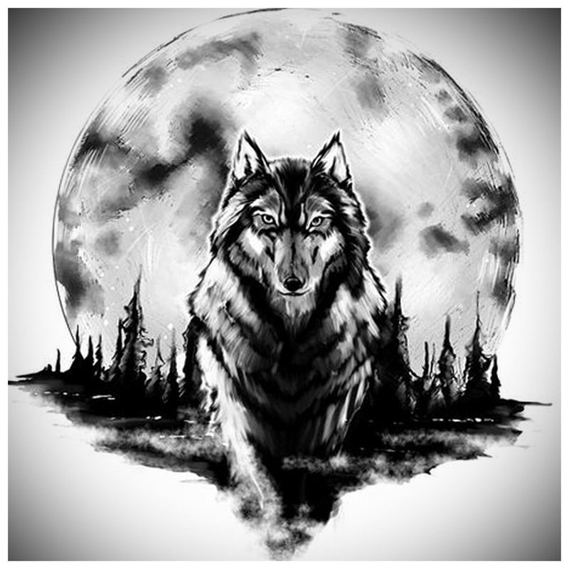 Vakre ulvetrinn - skisse for tatovering