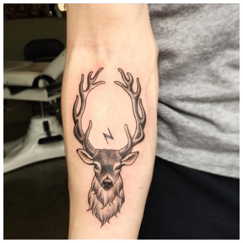 Állat téma tetoválás az alkaron