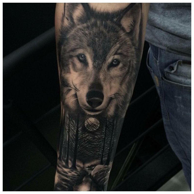 Wolfs gezicht - tatoeage op de arm van een man