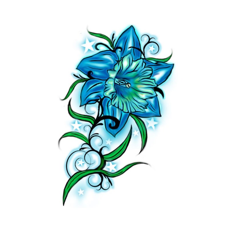 Barevná skica modrá lilie