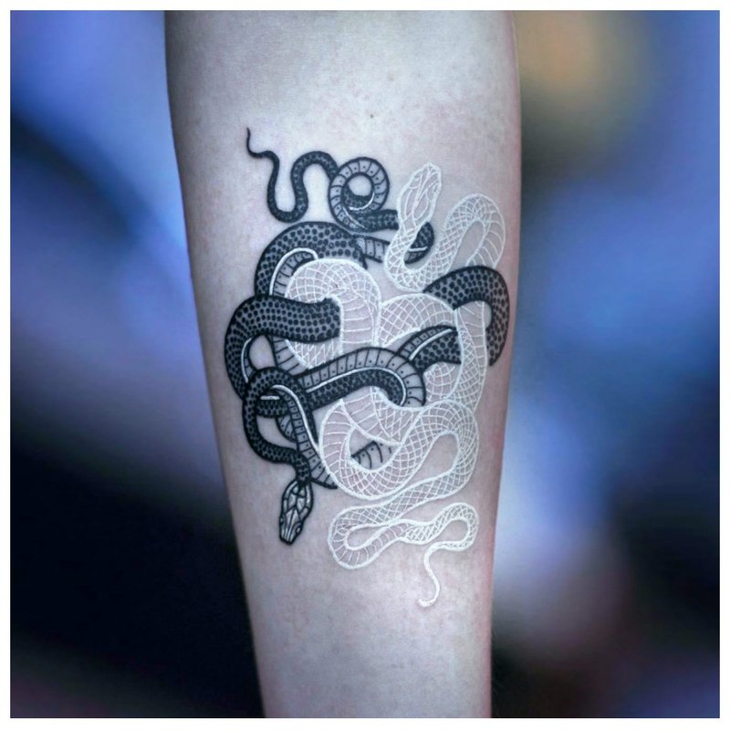 Tatuiruotė su dviem gyvatėmis