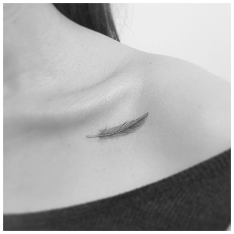 Minimalistické tetovanie z peria