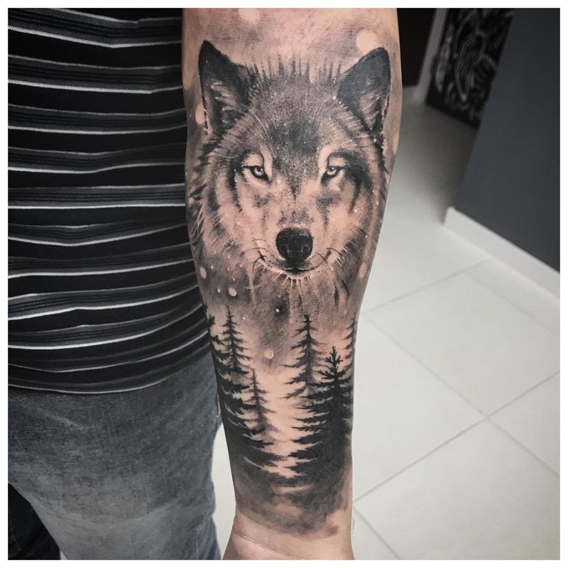Vlk v lese - tetovanie na mužskej ruke