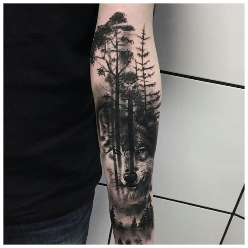 Vilkas ir miško peizažas - tatuiruočių žmogus