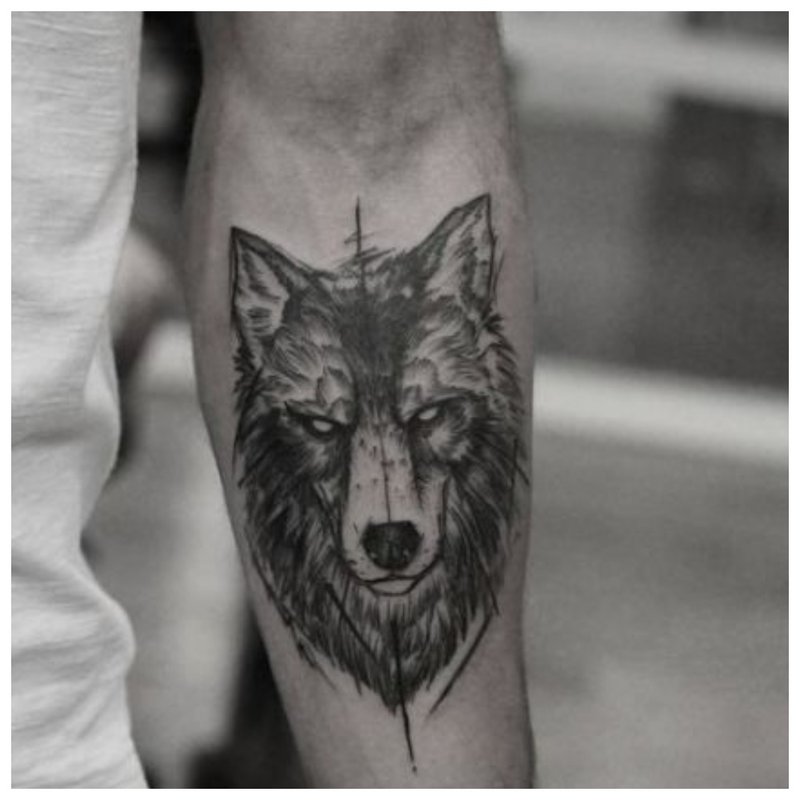 Vlk tetovanie