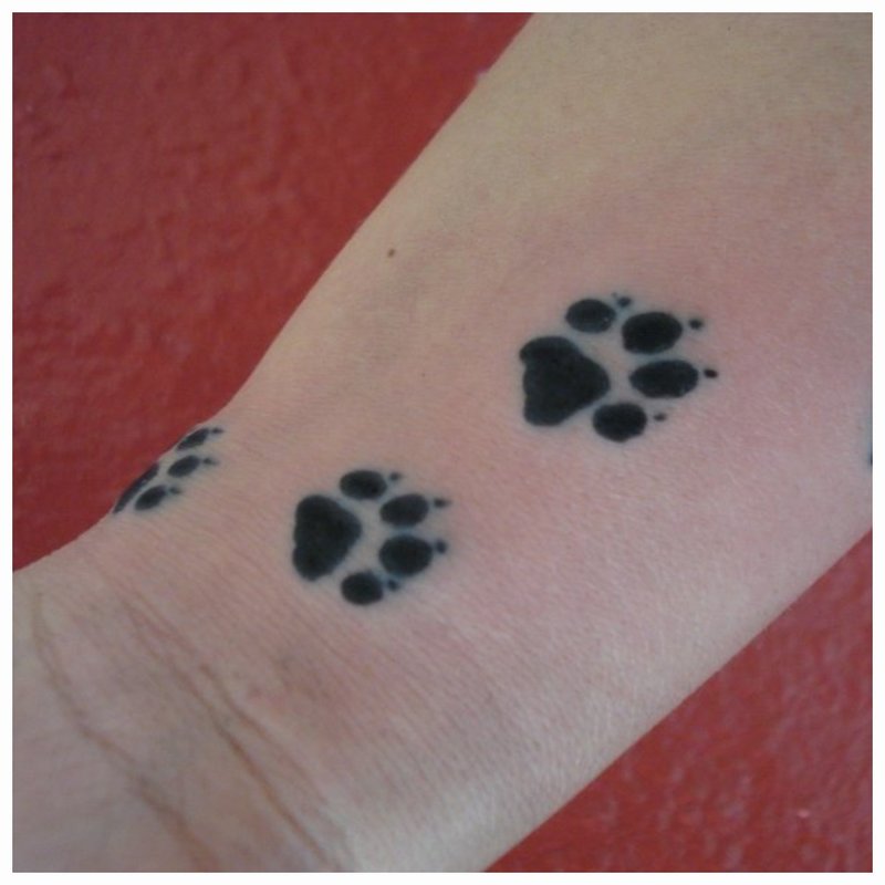Labe ale unui tatuaj de animale