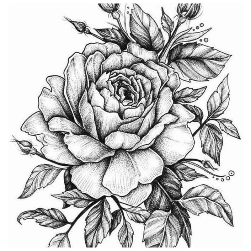 Роза - скица за татуировка