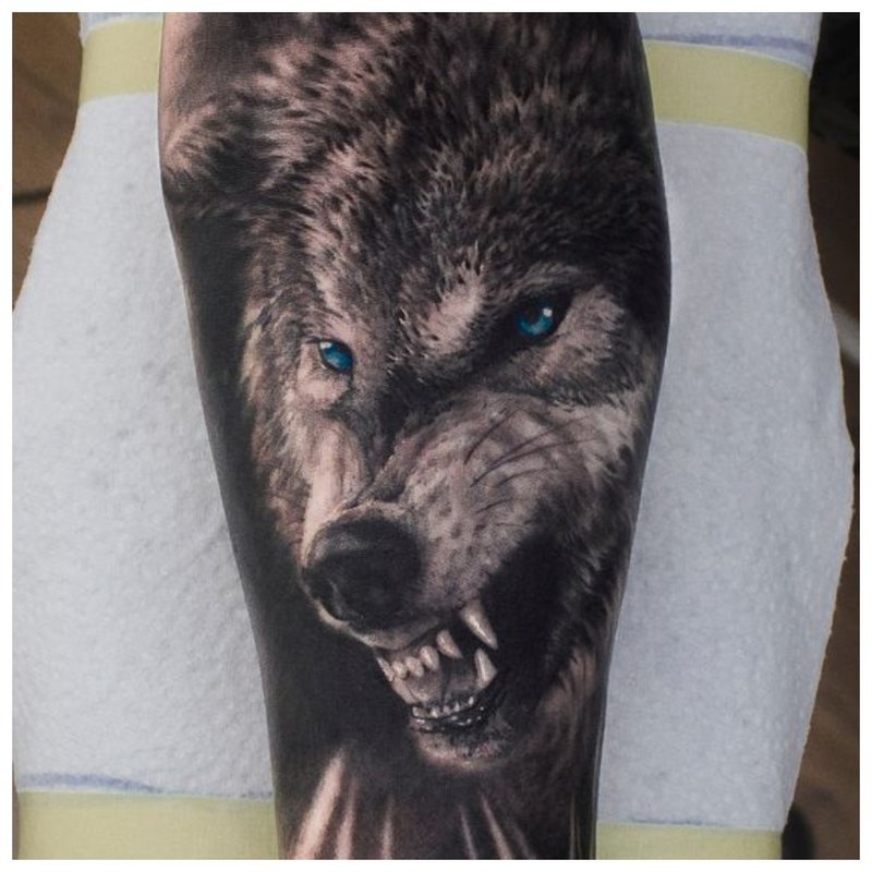 Uśmiech wilka - tatuaż dla człowieka