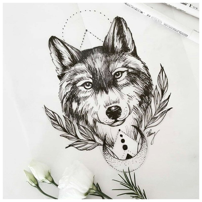 Usmívající se vlk - skica pro tetování