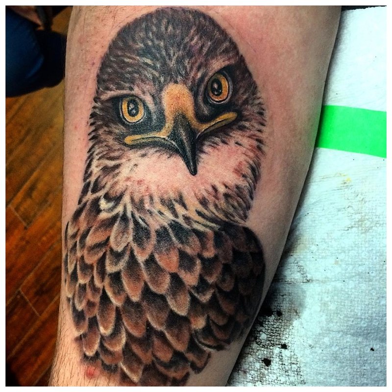 Tetovaža ptica podlaktica na muškarcima