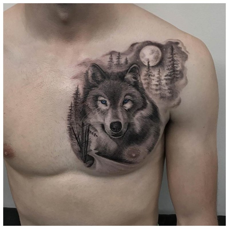 Calm wolf - tatuaż na piersi mężczyzny
