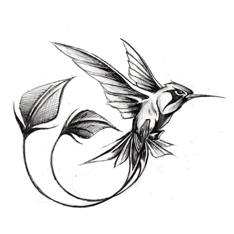 Schiță de colibri