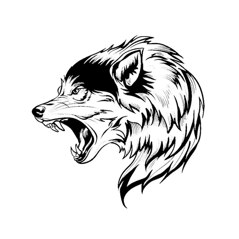 Vlk - skica pro tetování