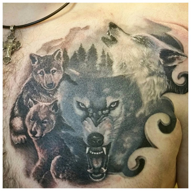 Wolf met zijn roedel - tatoeage op de borst van een man