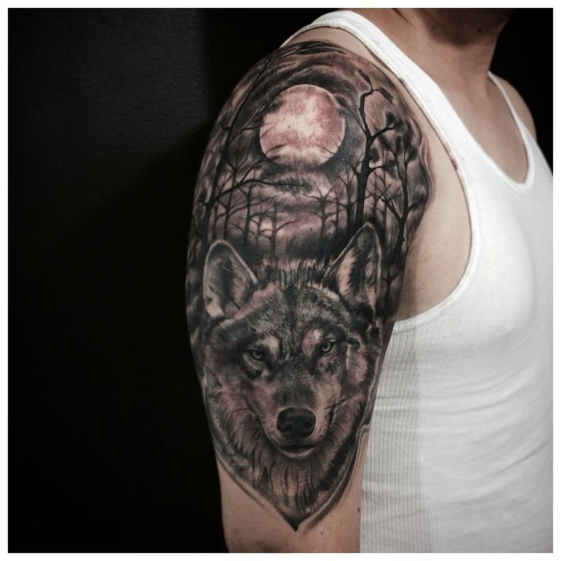 Wilk w lesie - tatuaż na ramieniu