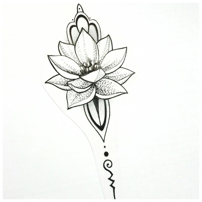 Close-up skica lotosu