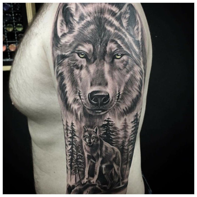 Realistyczny wilk - tatuaż na ramieniu