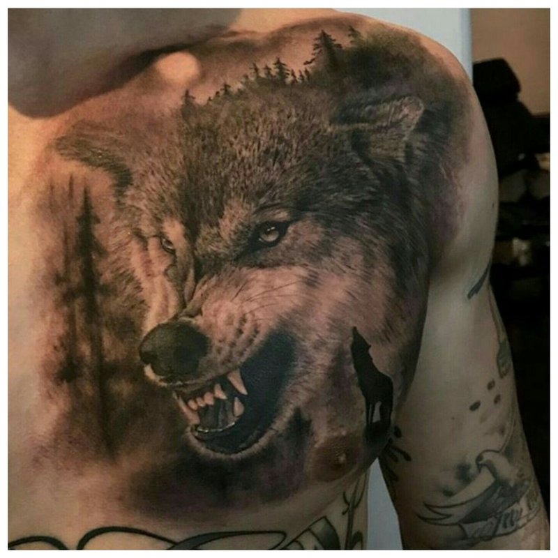 Vilkas šypsosi - tatuiruotė ant patino krūtinės