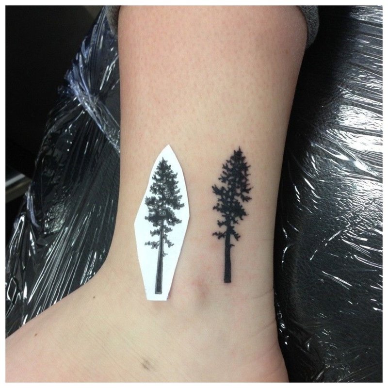 Tatuaje del árbol