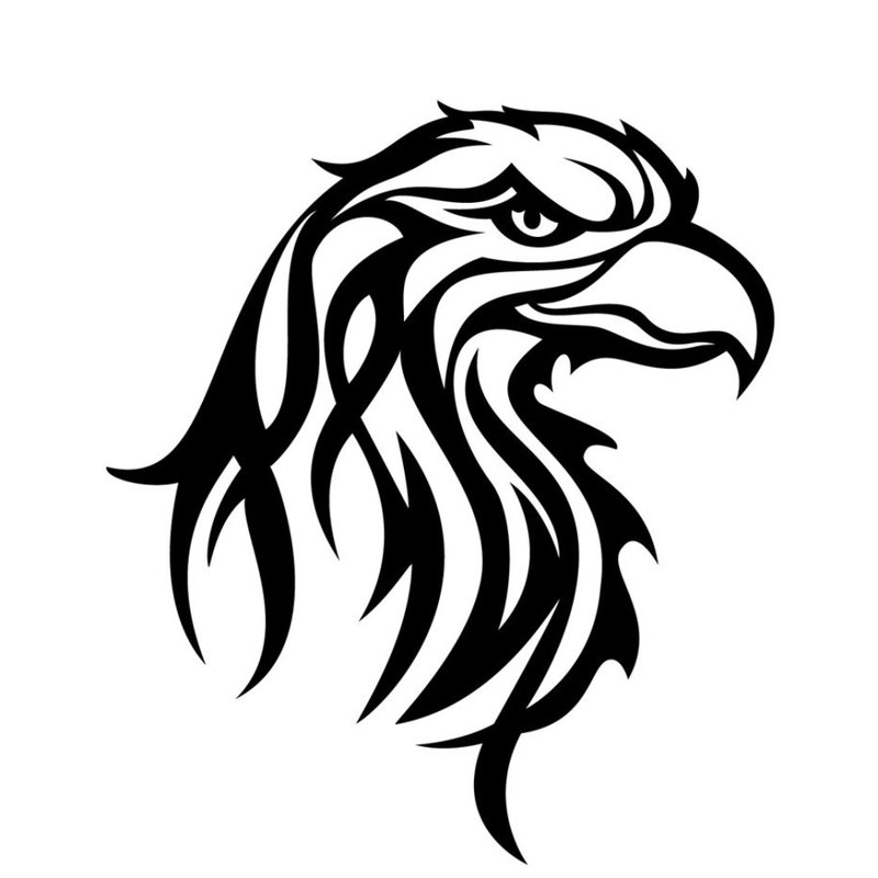 Szkic orła na tatuaż
