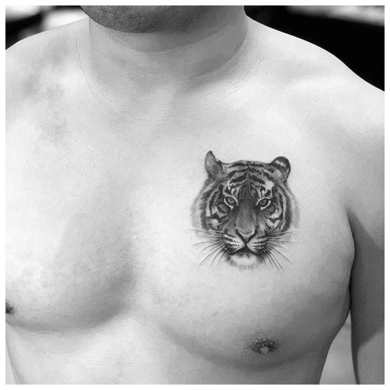 Tatuaj animal pe pieptul unui bărbat