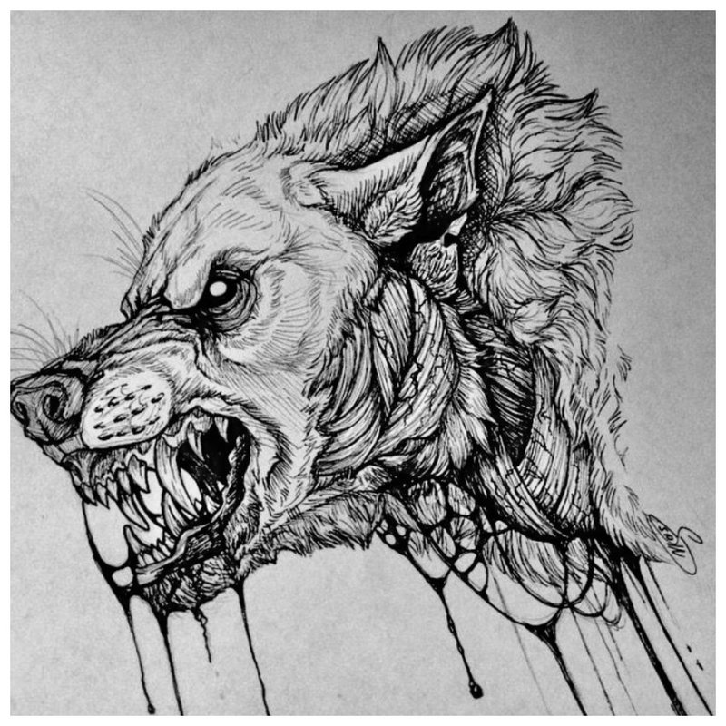Хищнически звяр - скица за татуировки