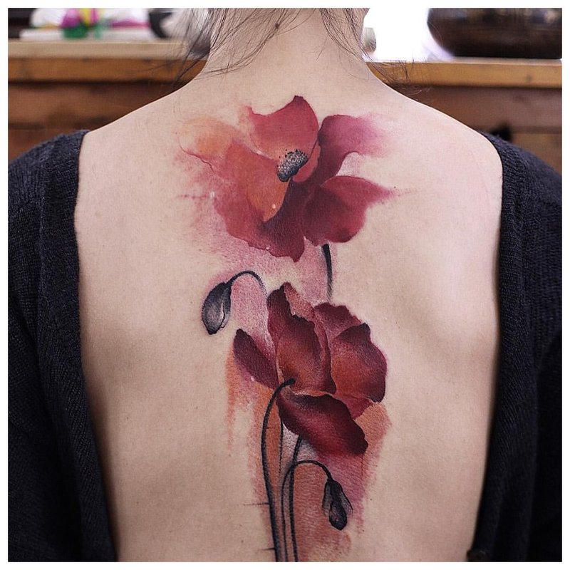 Akvarell tetoválás a pipacsok hátán