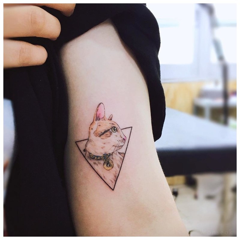 Триъгълник котка татуировка