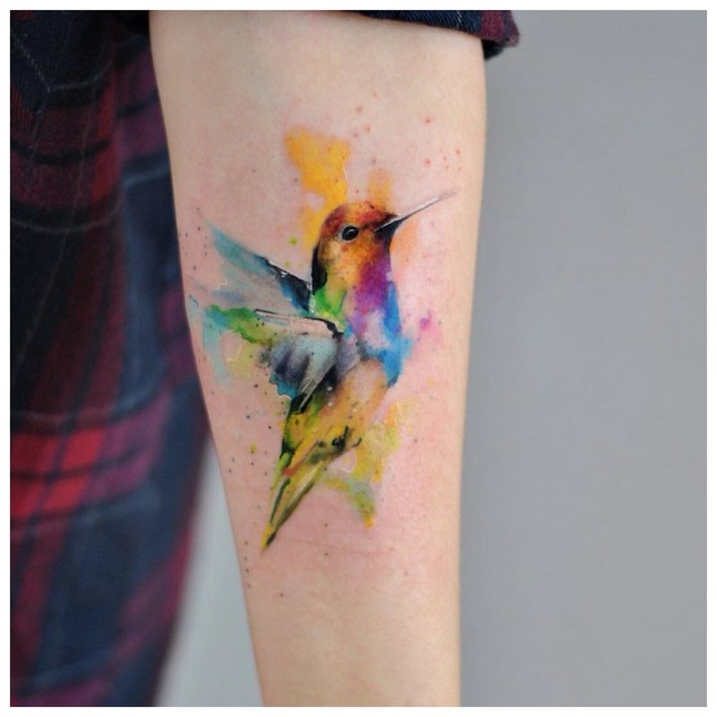 Tatuaż akwarela kolibra